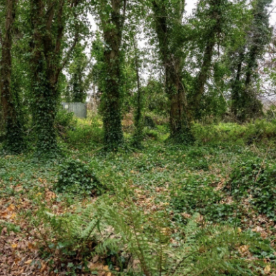 Lonestar Tactical Gear - Photo 1